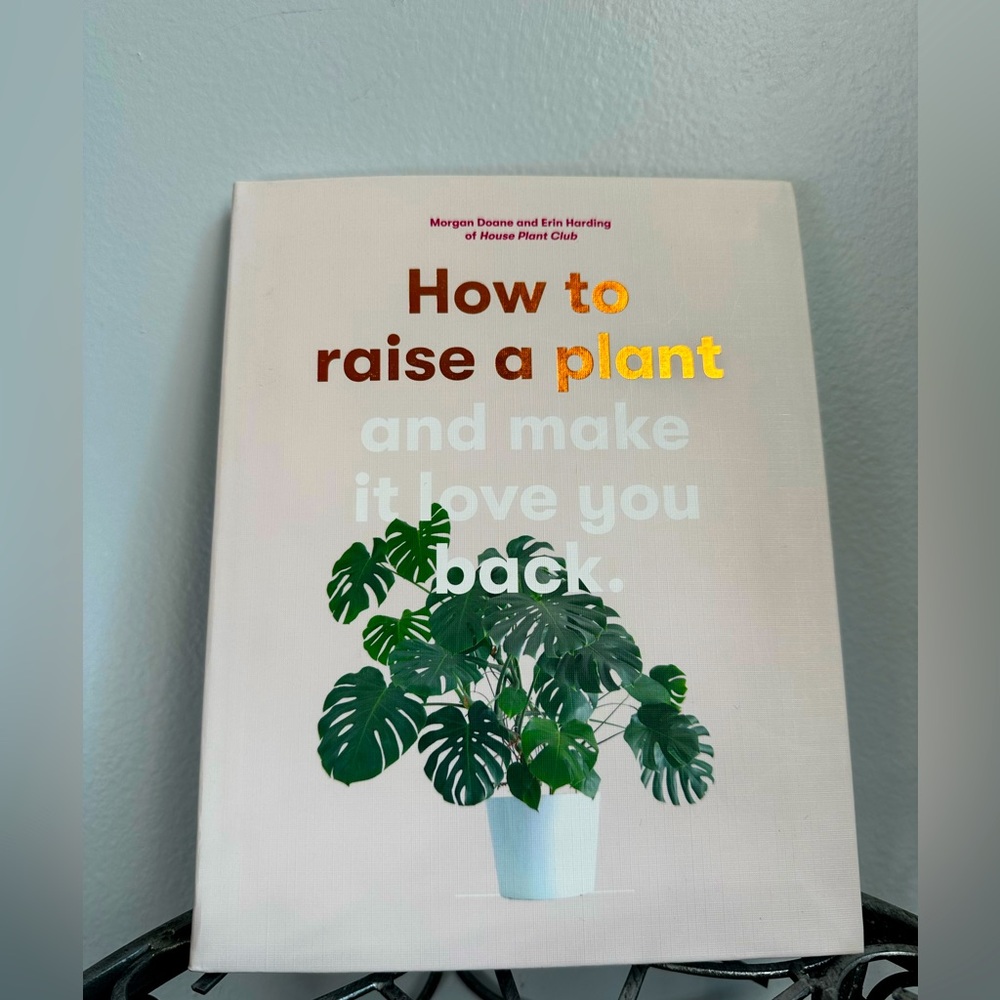How to Raise a Plant and Make it Love you Back